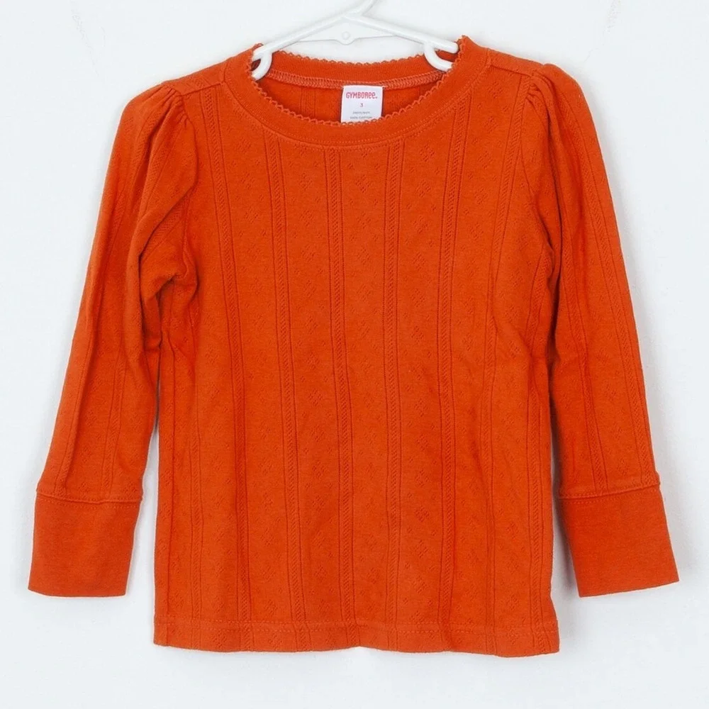 Gymboree Girls Harvest Leaves Sweater Vest and Long Sleeve Shirt‎ Size 3 Holiday
